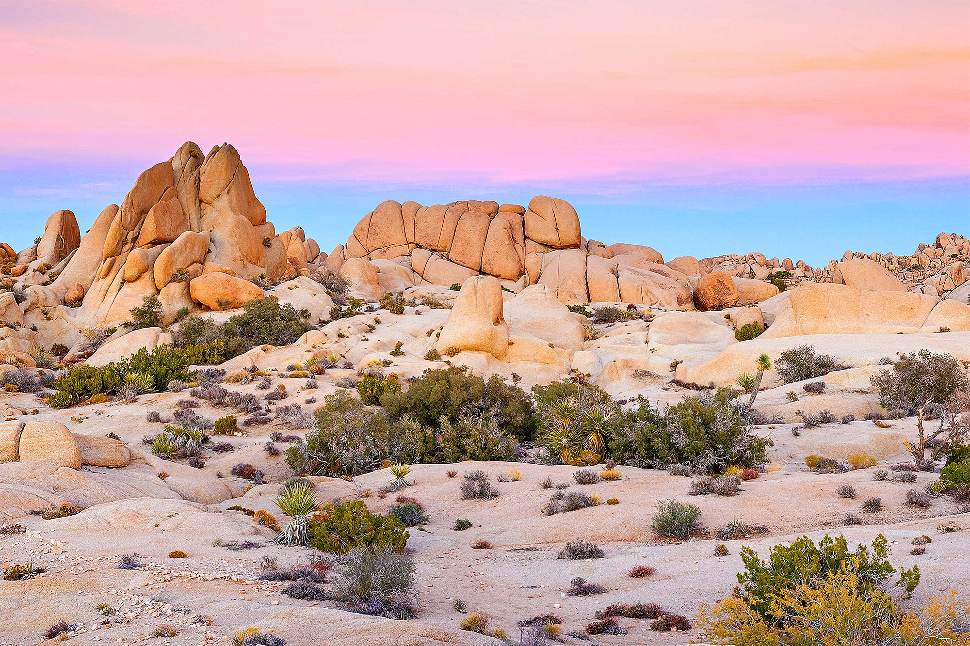 アクアプール　エッセイ