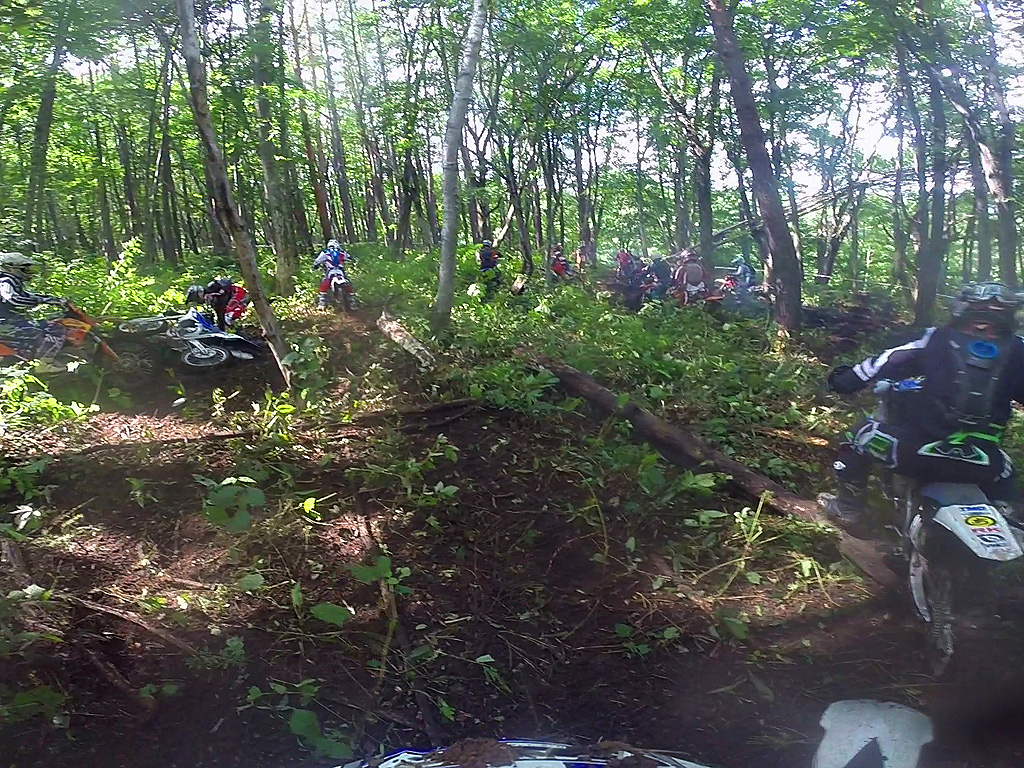 アクアプール　エッセイ