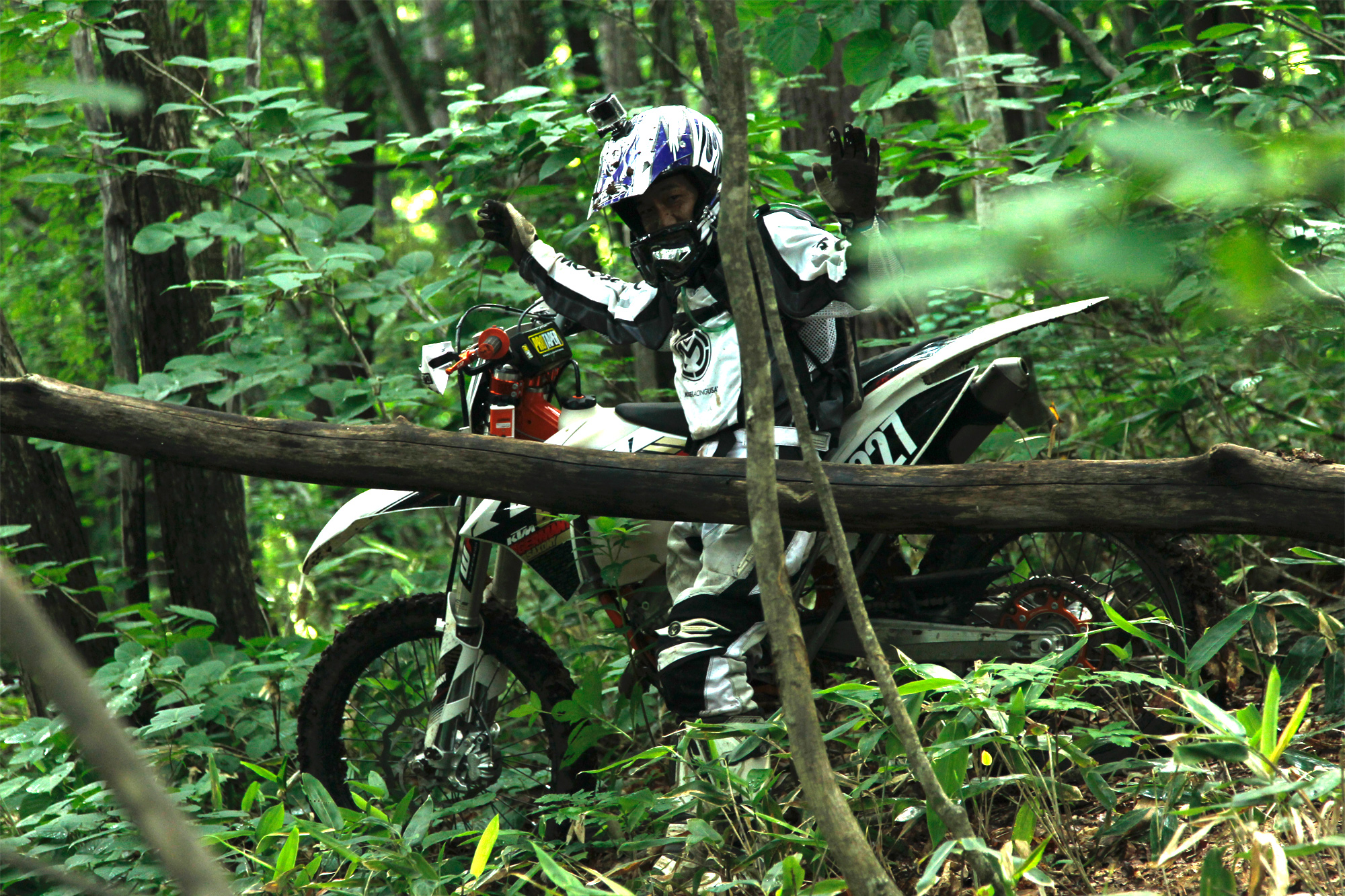 アクアプール　エッセイ