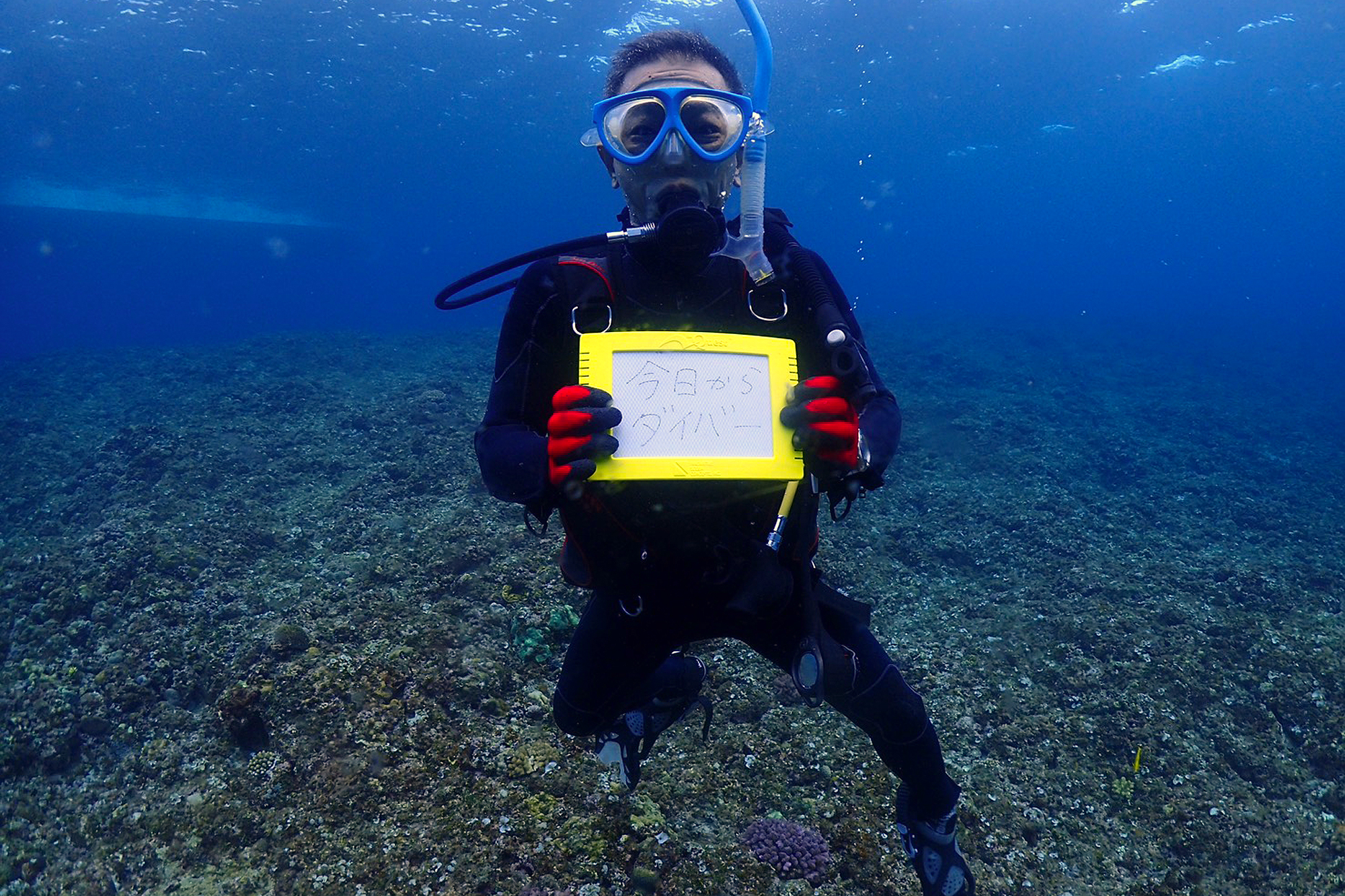 アクアプール　エッセイ